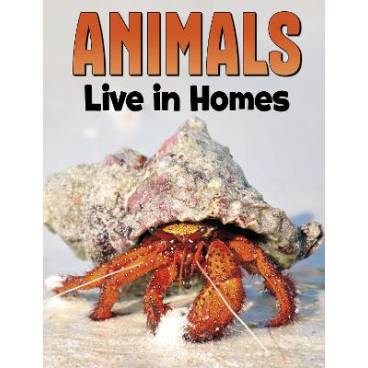 9781398250215 thumbnail