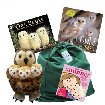 Owl Babies Story Sack