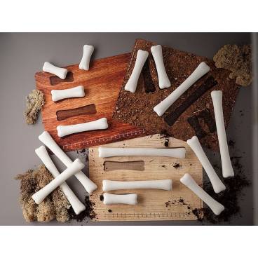 Dinosaur Bones Match and Measure Activity Cards